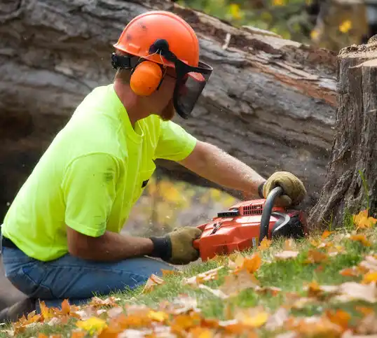 tree services Niverville